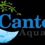 CANTON AQUATICS Profile Picture