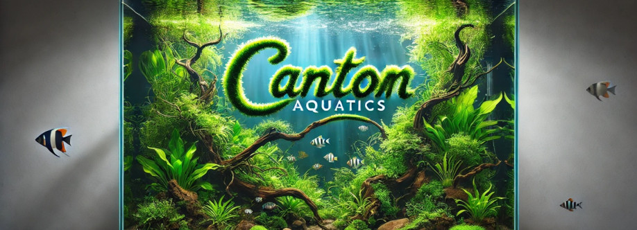 CANTON AQUATICS Cover Image