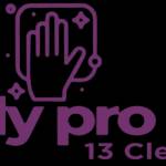 Tidy pro 13 Cleaning Profile Picture