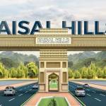 Faisal Hills Profile Picture