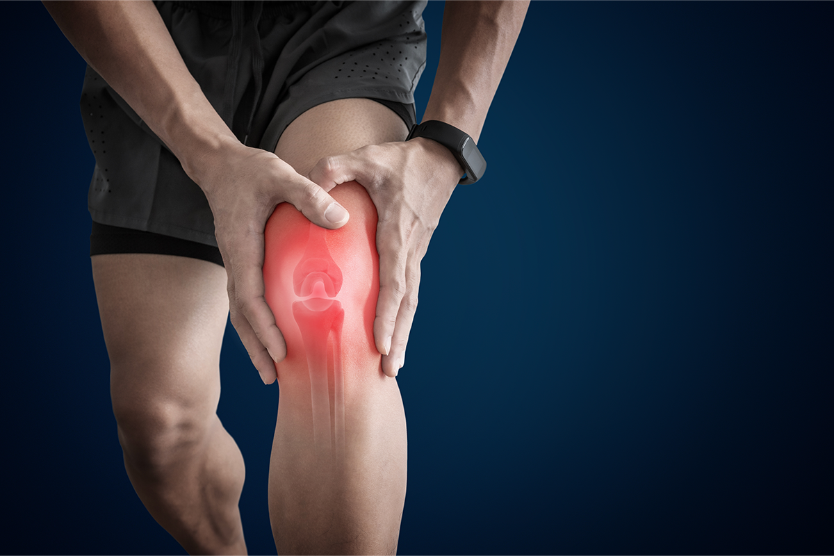 Best Joint Supplement for Knees, Alabama – Herbal Care Products - rajasthanvacancy.net