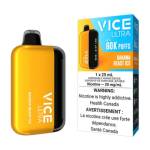 Vice Ultra Disposable Vape Profile Picture