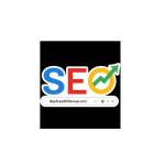 Bay Area Seo Group Profile Picture