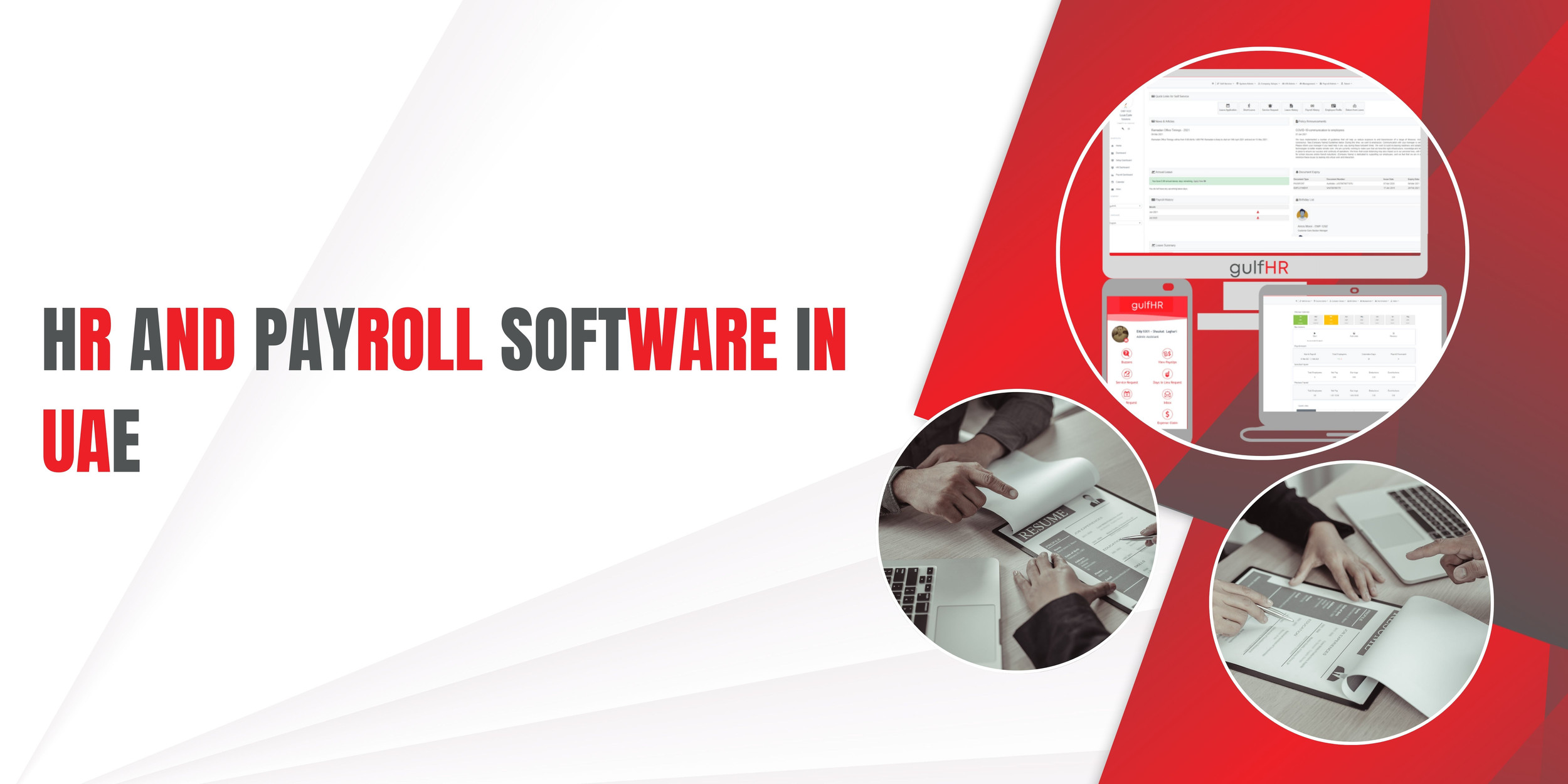 Choosing the Right Path: Custom HR Software or SaaS for HR Digitization?
