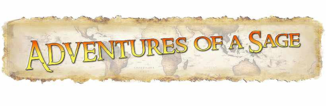Adventures of a Sage Cover Image