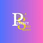perfectseo agency Profile Picture
