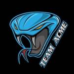teamacme Profile Picture