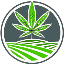 Top High-Quality CBD Skin Care Products At Dakota Hemp