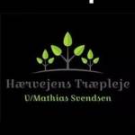 Haervejens Traepleje Profile Picture