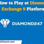 Diamondexch909k exch Profile Picture