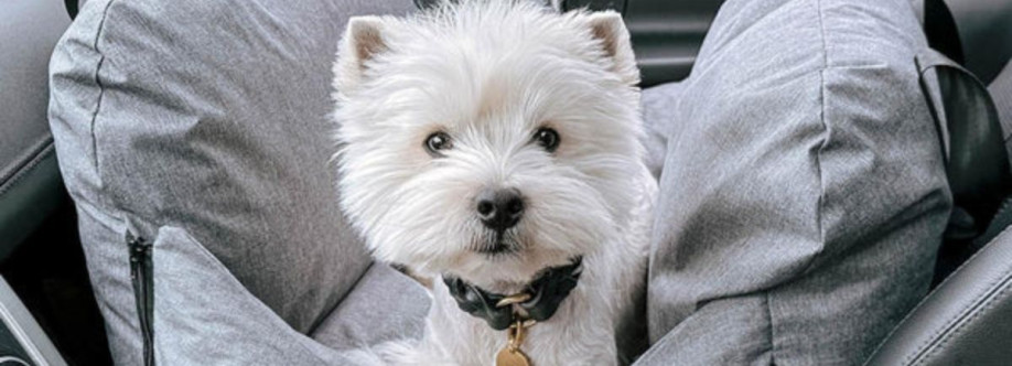 Silver Circle Pets Cover Image