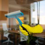 alpinecleaning services Profile Picture