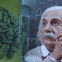 Micro.blog - @brainfuelneuro