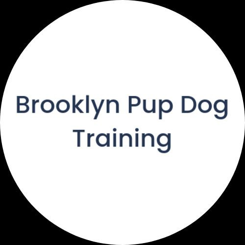 Brooklyn Pup Dog Training Profile Picture