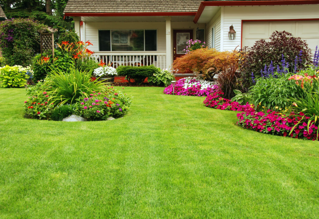 5 Hidden Benefits of Lawn Care in Cape Cod You Haven’t Considered - Relxnn