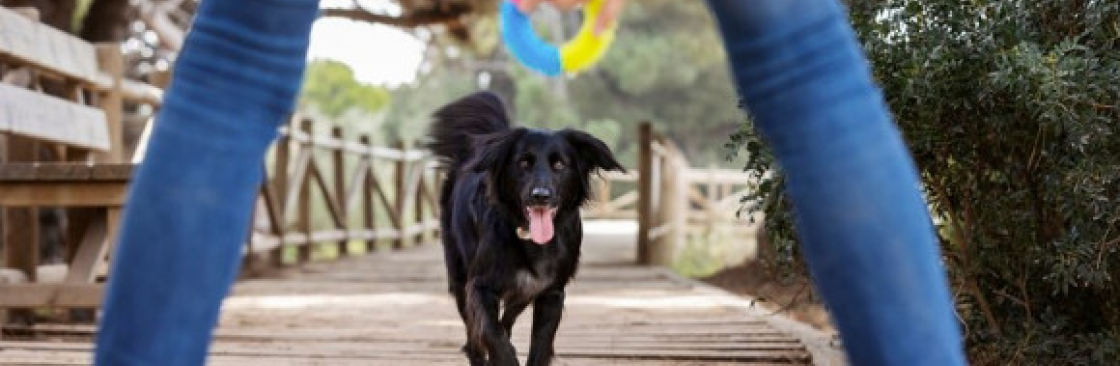 Brooklyn Pup Dog Training Cover Image