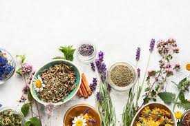 Cultural Secrets of Herbal Healing Across the World – Herbal Care Products