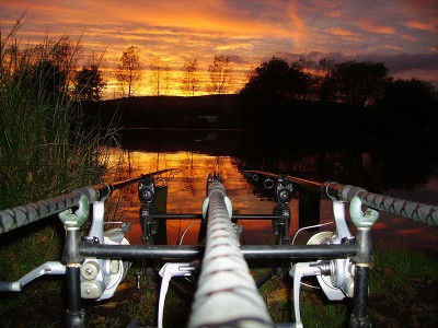 HepatoBurn | Profile