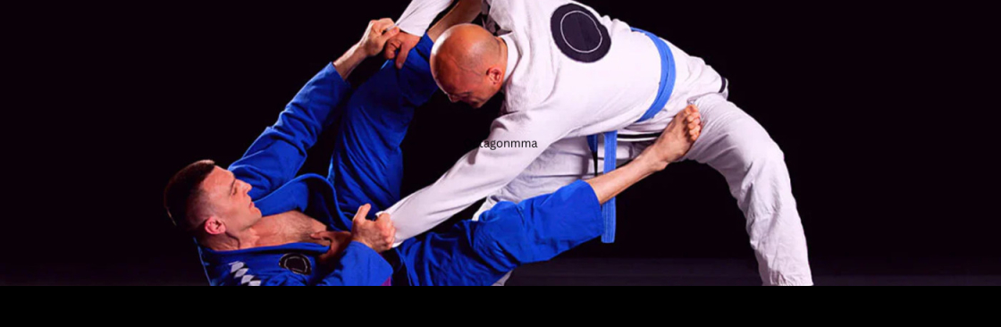 Octagon MMA Dallas Cover Image