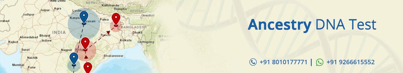 Ancestry DNA Tests in India | Indian Ancestry DNA Test