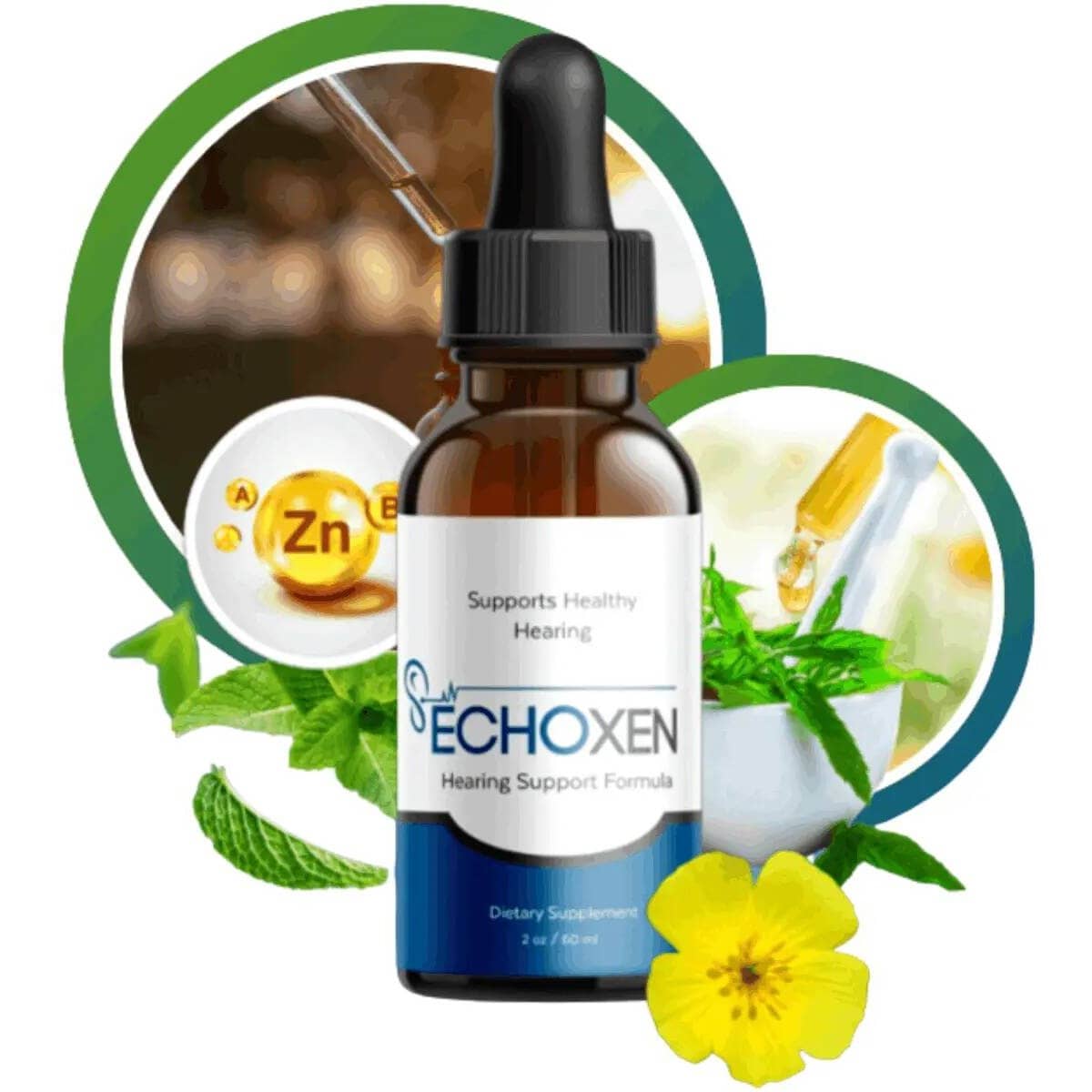 Shop Echoxen (@shopechoxen) / Passes