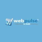 Webpulse India Profile Picture
