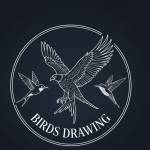 birds drawing Profile Picture