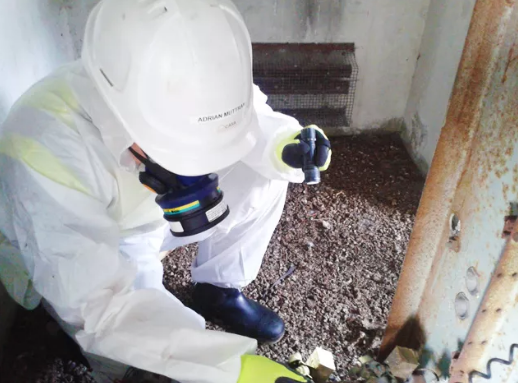 Mold and Air Quality Testing: Protecting Your Health and Home | by msn environmental | Oct, 2025 | Medium