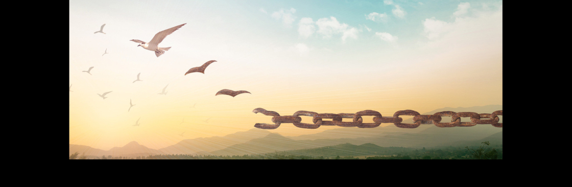 The Lefkoe Institute Cover Image