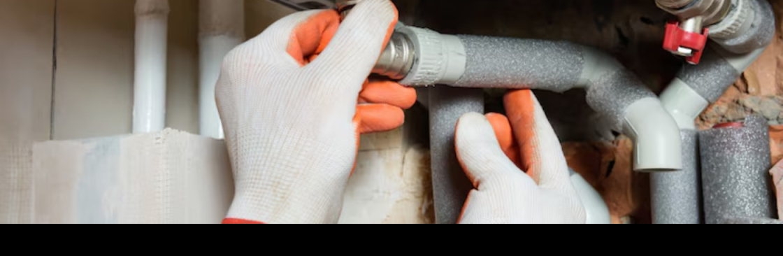 Lillie Family Heating Cover Image