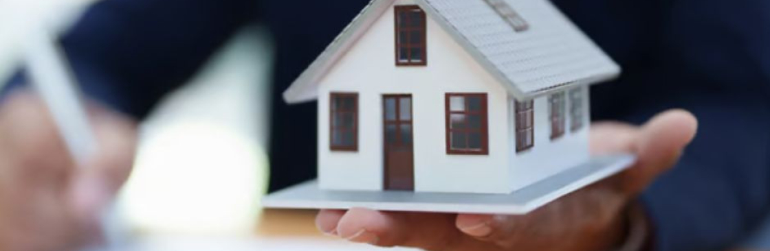 solidify insurance Cover Image