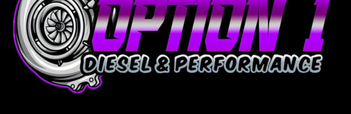 Option 1 diesel and performance Cover Image