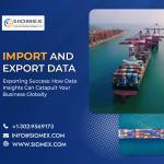 siomex data profile picture