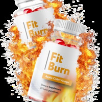 Buy Fit Burn - Independent Researcher