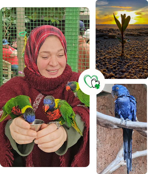 Islamic Psychological Care and Counseling Centre London- Qalbun Saleem