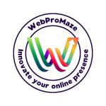 WebProMaze Private Limited profile picture