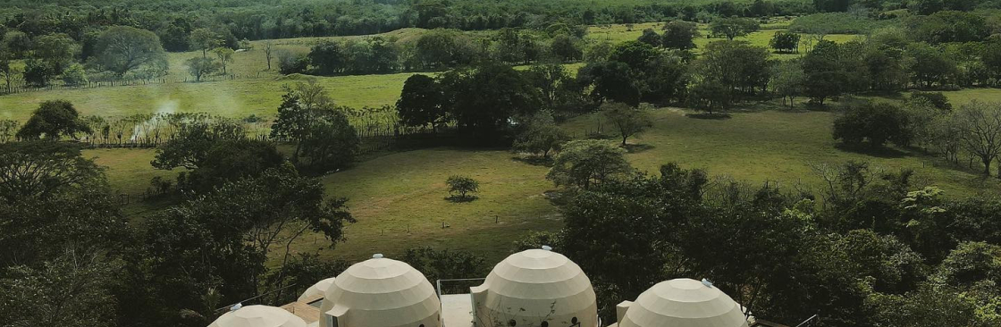 Alaya Panama Cover Image