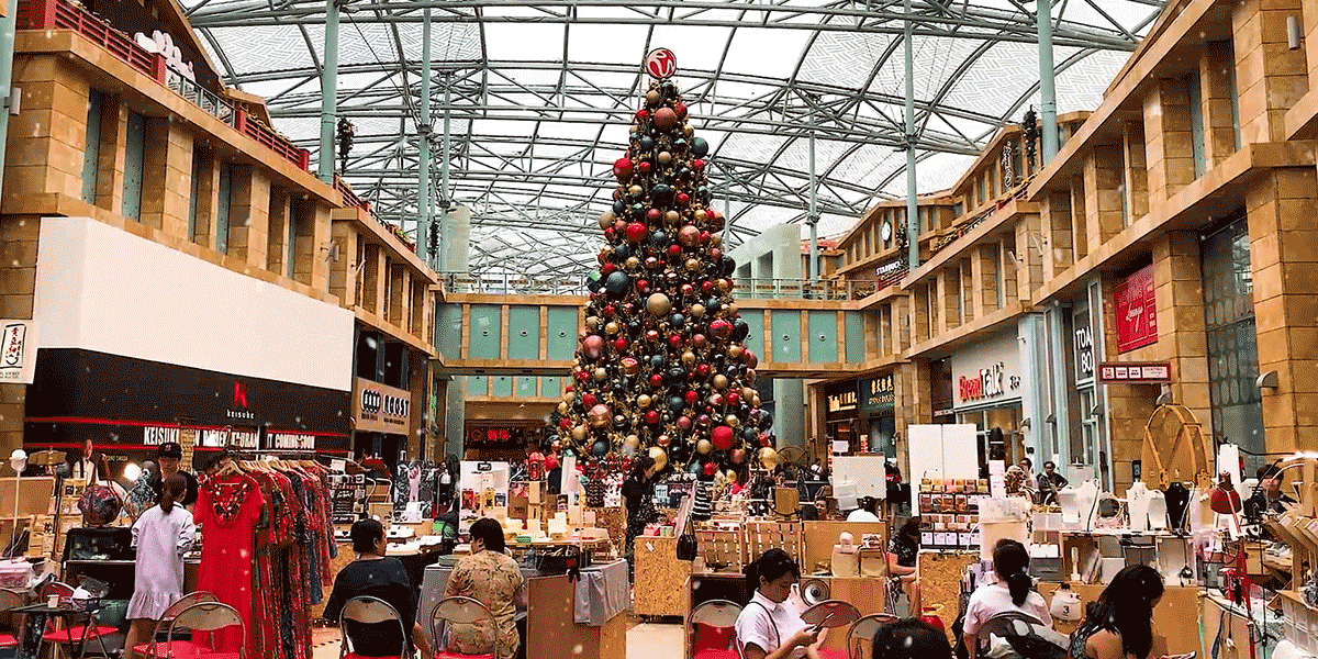 How NGOs Bridge the Gap for Students Who Need It Most