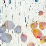 terry thirion profile picture