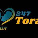 247toraxco1 247toraxco1 Profile Picture