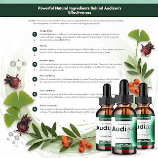 Audizen Review: Is It Worth the Money? My Honest Experience