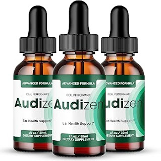 Audizen Reviews — Scam or Real? Results After 30 Days