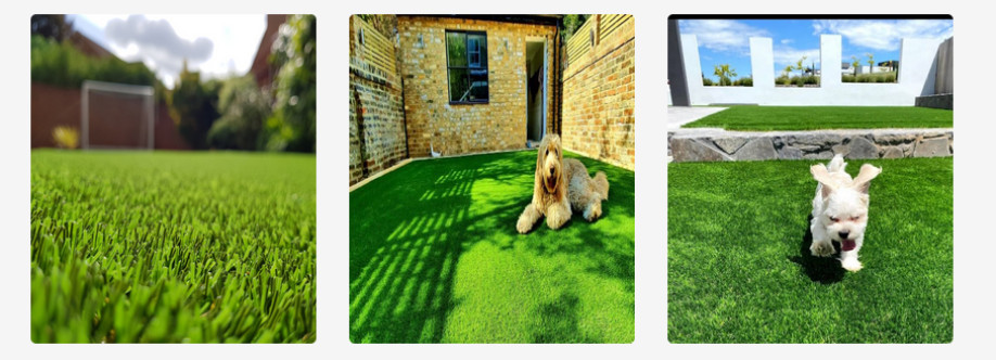 Evergreen Turf Supply Cover Image