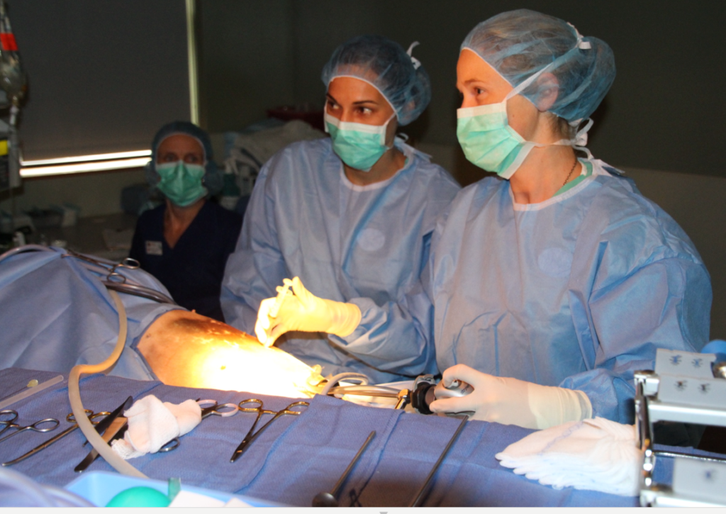 Veterinary Laparoscopic Splenectomy Video | VetOvation