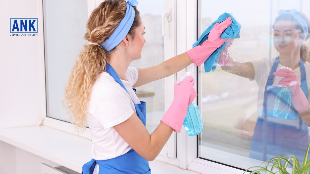 Why Window Cleaning Services in Oakville Improve Your Property Value – Site Title
