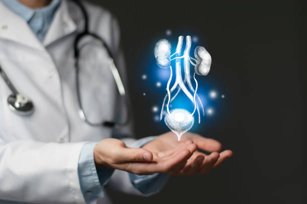 Common Kidney Damaging Factors You Should Know – KaSha Kidney Clinic