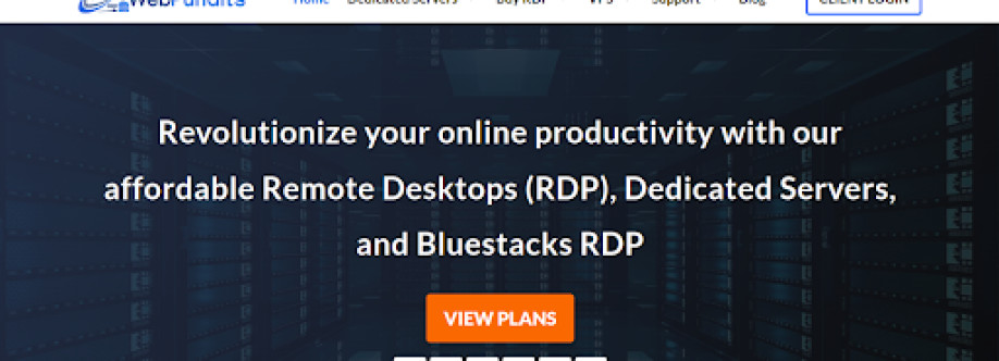 Web Pundits Cover Image