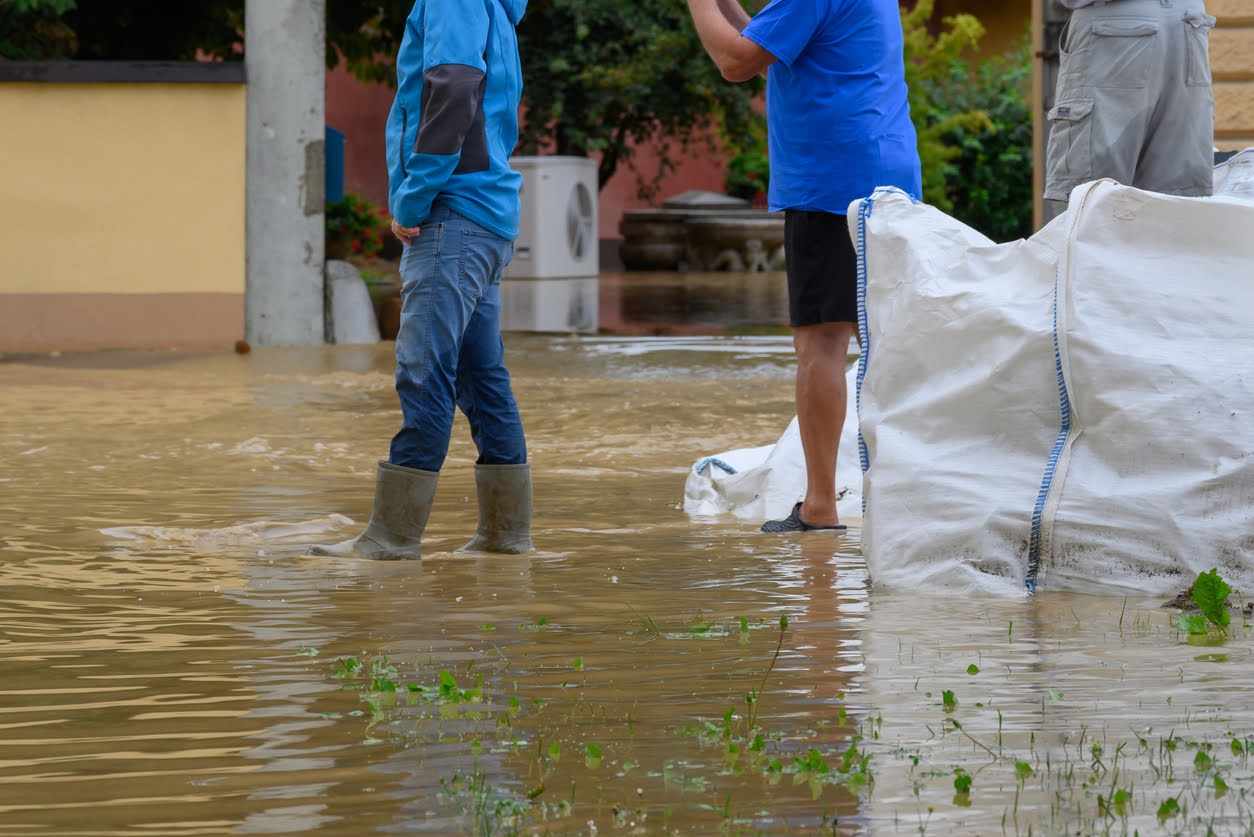 Choosing the Right Water Extraction Service for Your Property