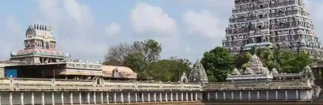 Sri Agasthiya Nadi Astrology Cover Image