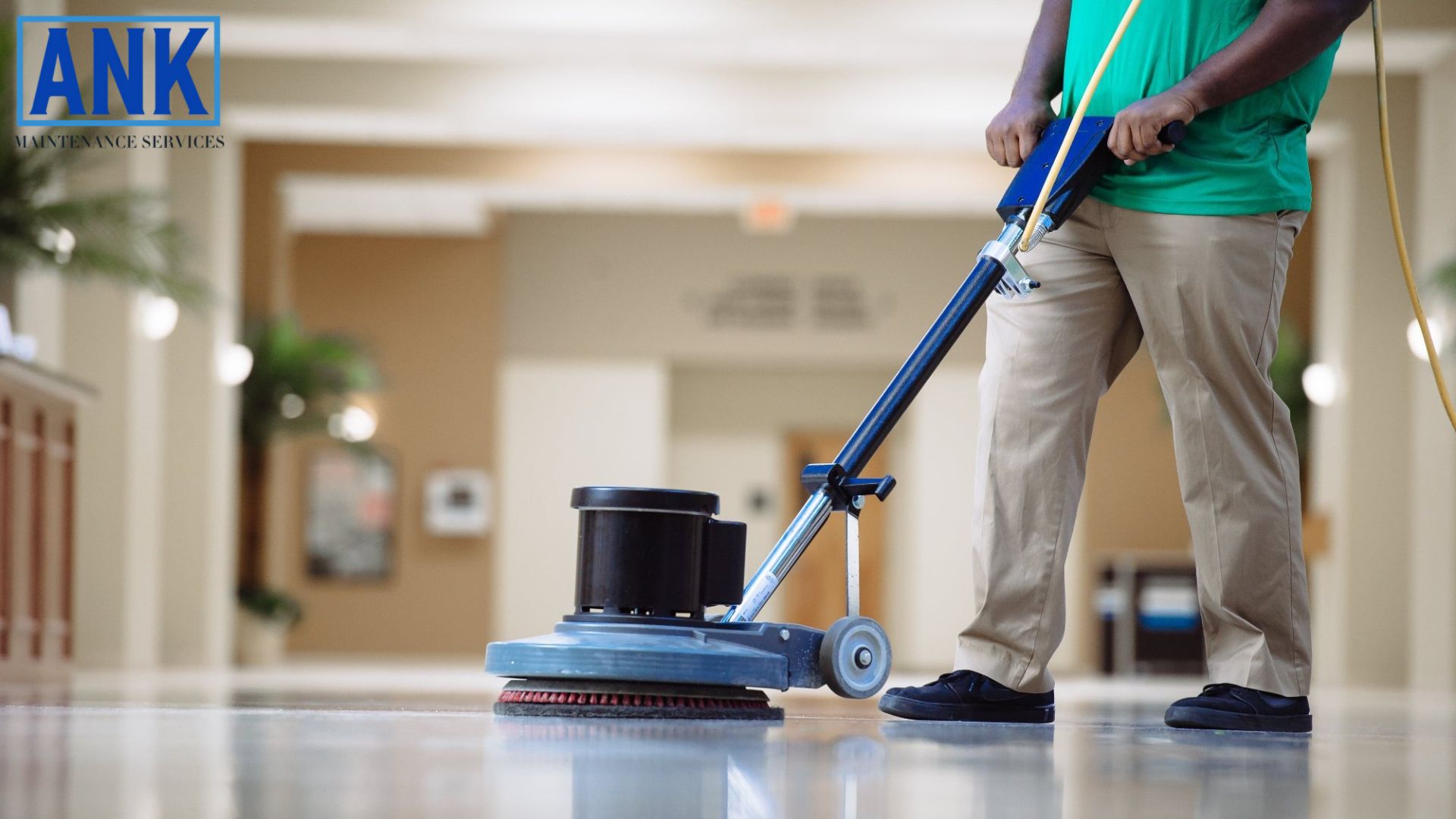 How Commercial Cleaning Improves Workplace Hygiene in Oakville – Site Title